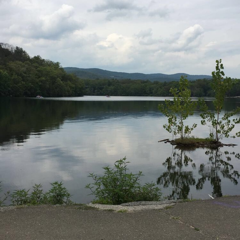 Meet your Posher, Hana